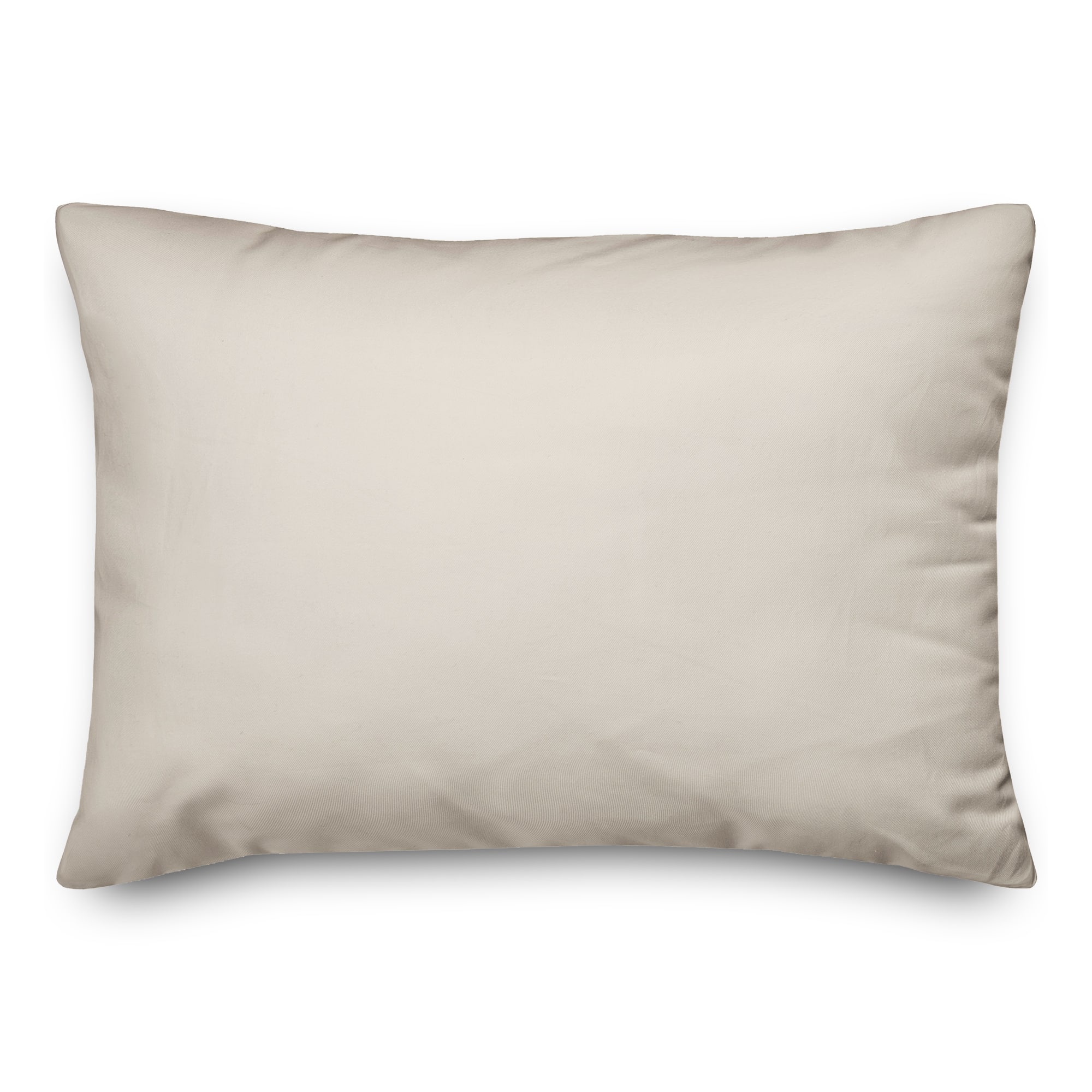 Potted Plants In A Row 14" x 20" Throw Pillow